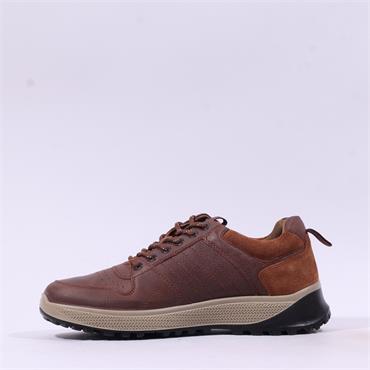 Dubarry Men Summit Laced Rugged Trainer - Brown Leather